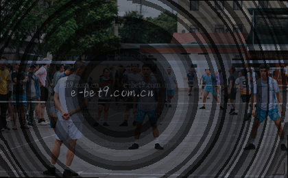多组数据交汇呈现复杂关系